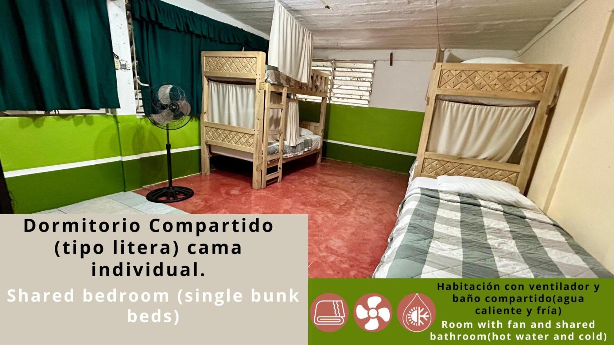 Hostal Pakal King Palenque Extérieur photo