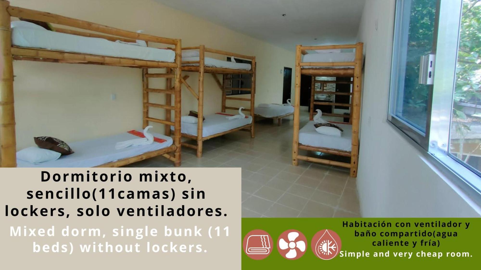 Hostal Pakal King Palenque Extérieur photo